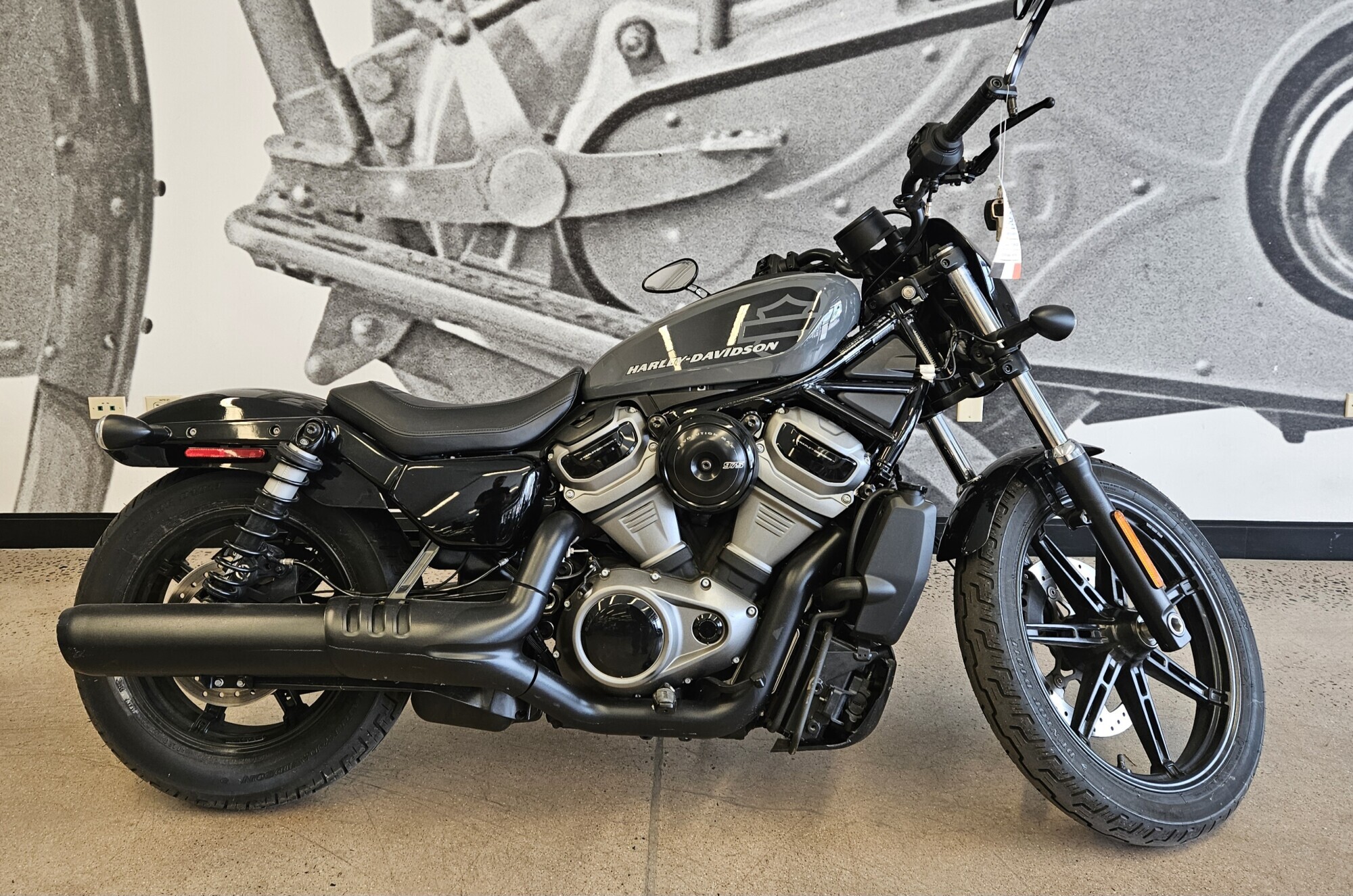 2022 Harley-Davidson Nightster in Parker, CO