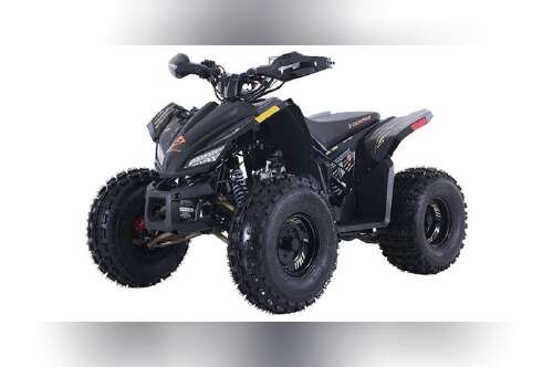 2026 Denago Powersports Trailhawk 10FI in knoxville TN
