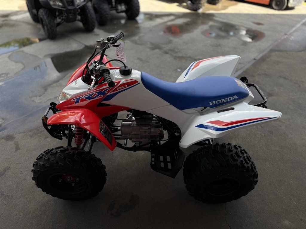 2026 Honda TRX 250X in houston TX