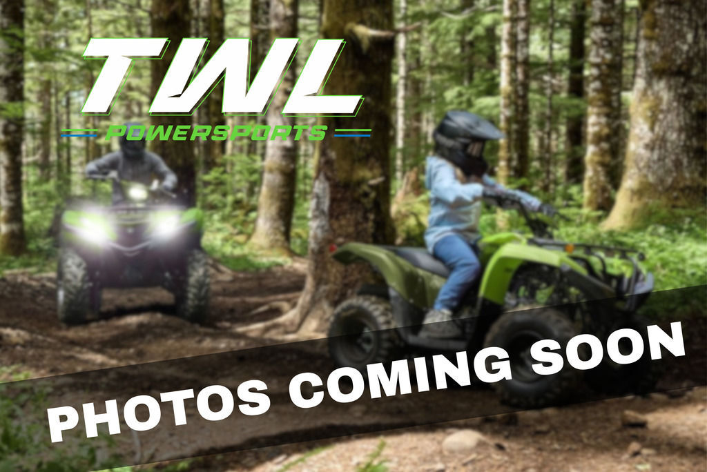 2026 Yamaha GRIZZLY 110 GREY in oshkosh WI