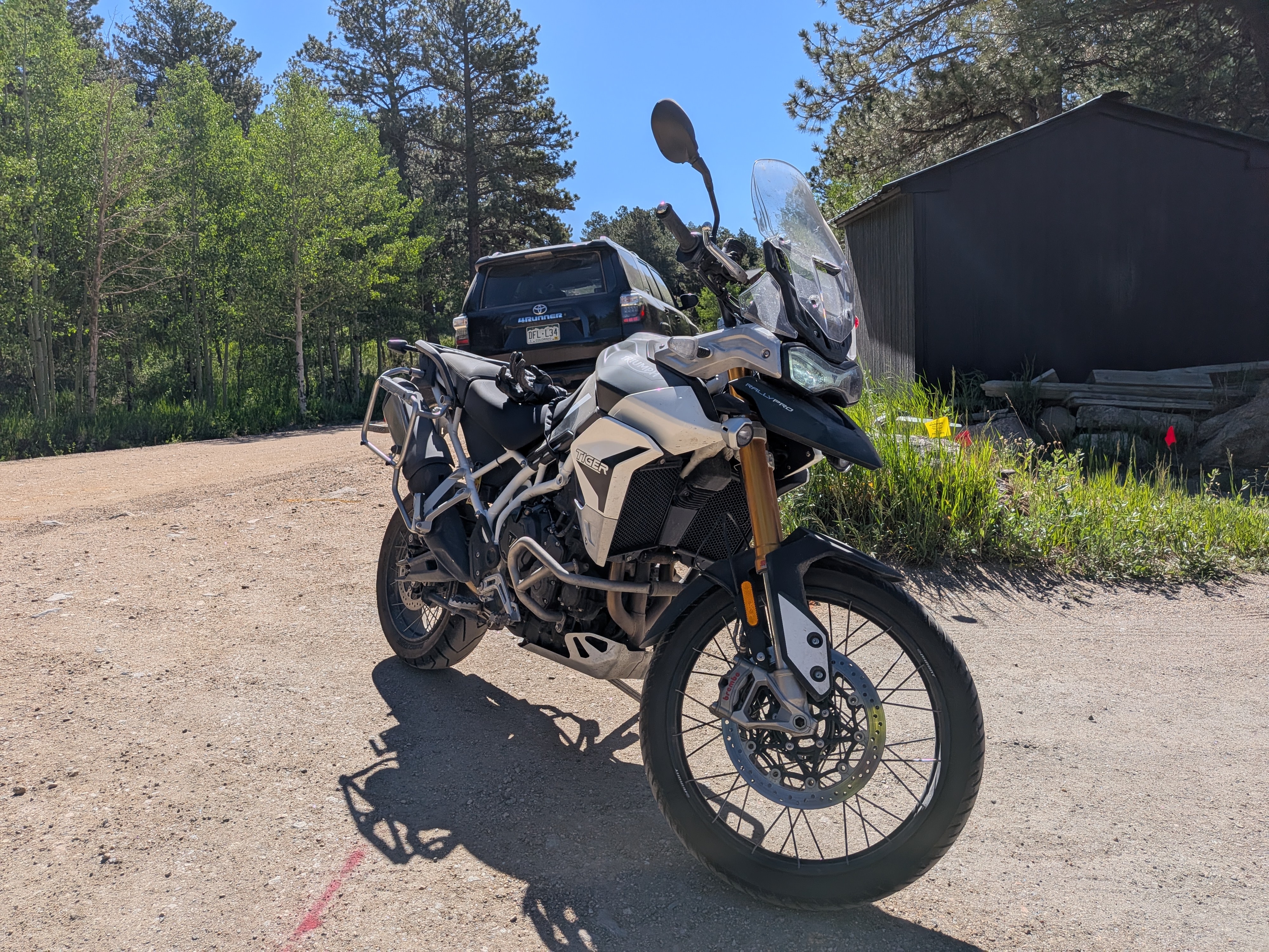 2023 Triumph TIGER 900 RALLY PRO RALLY PRO in Nederland, CO