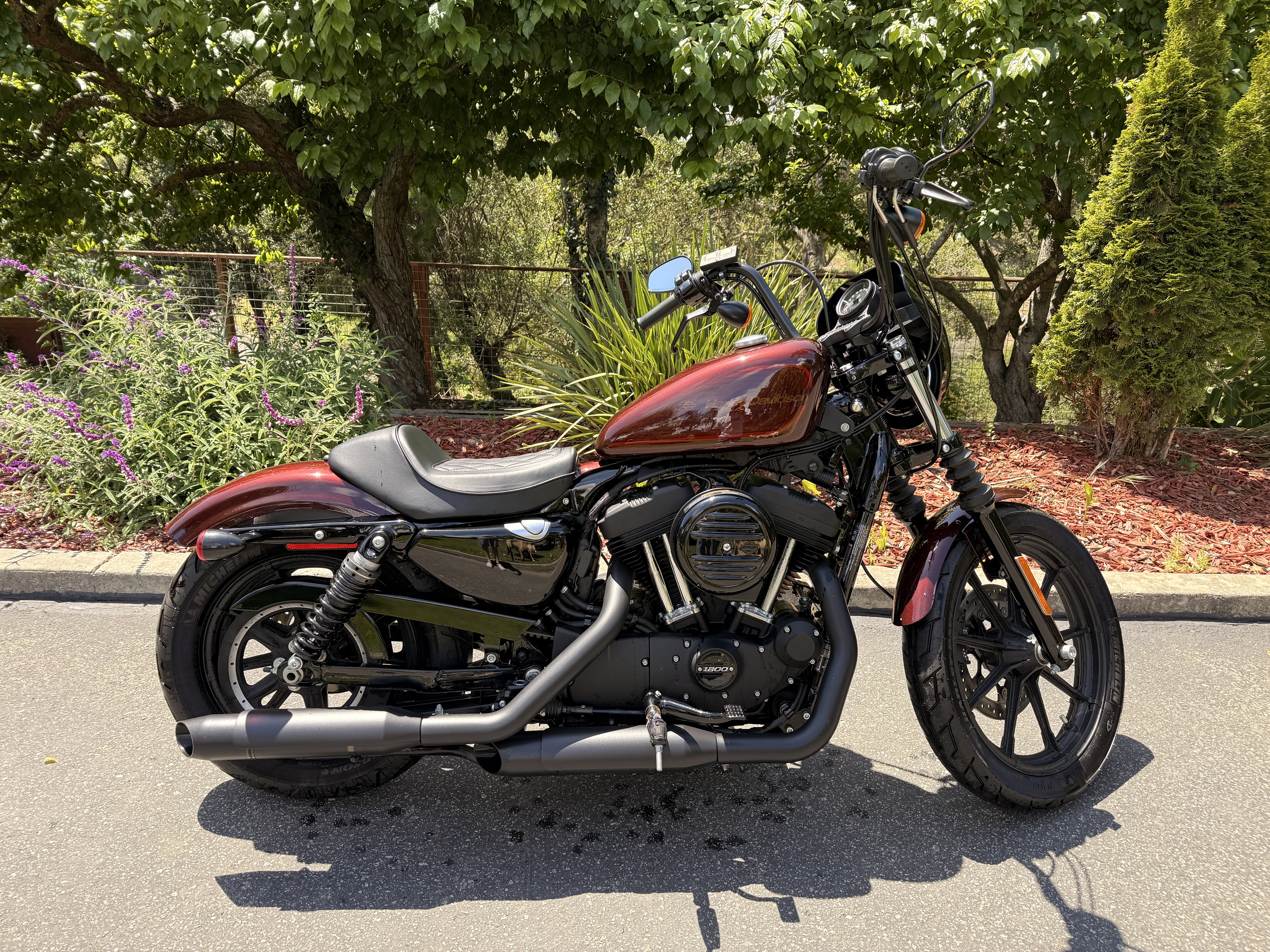 2019 Harley-Davidson Iron 1200 in Watsonville, CA