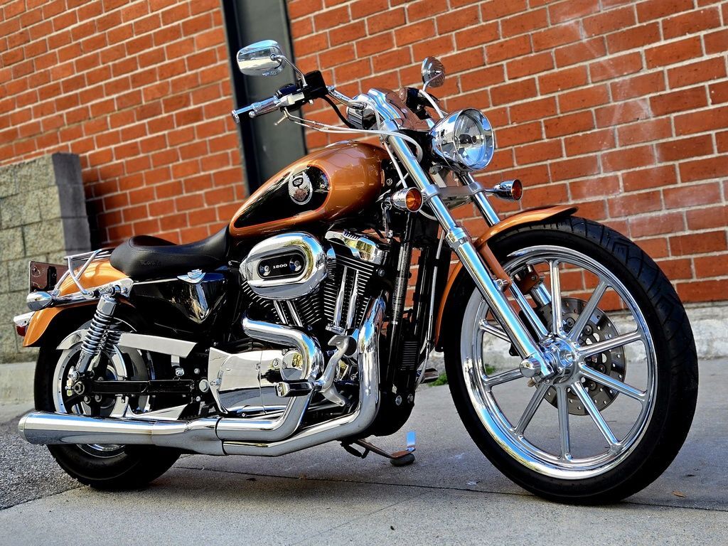2008 Harley-Davidson® XL1200C - Sportster® 1200 Custom 105th Anniversary Edi R in Marina Del Rey, CA