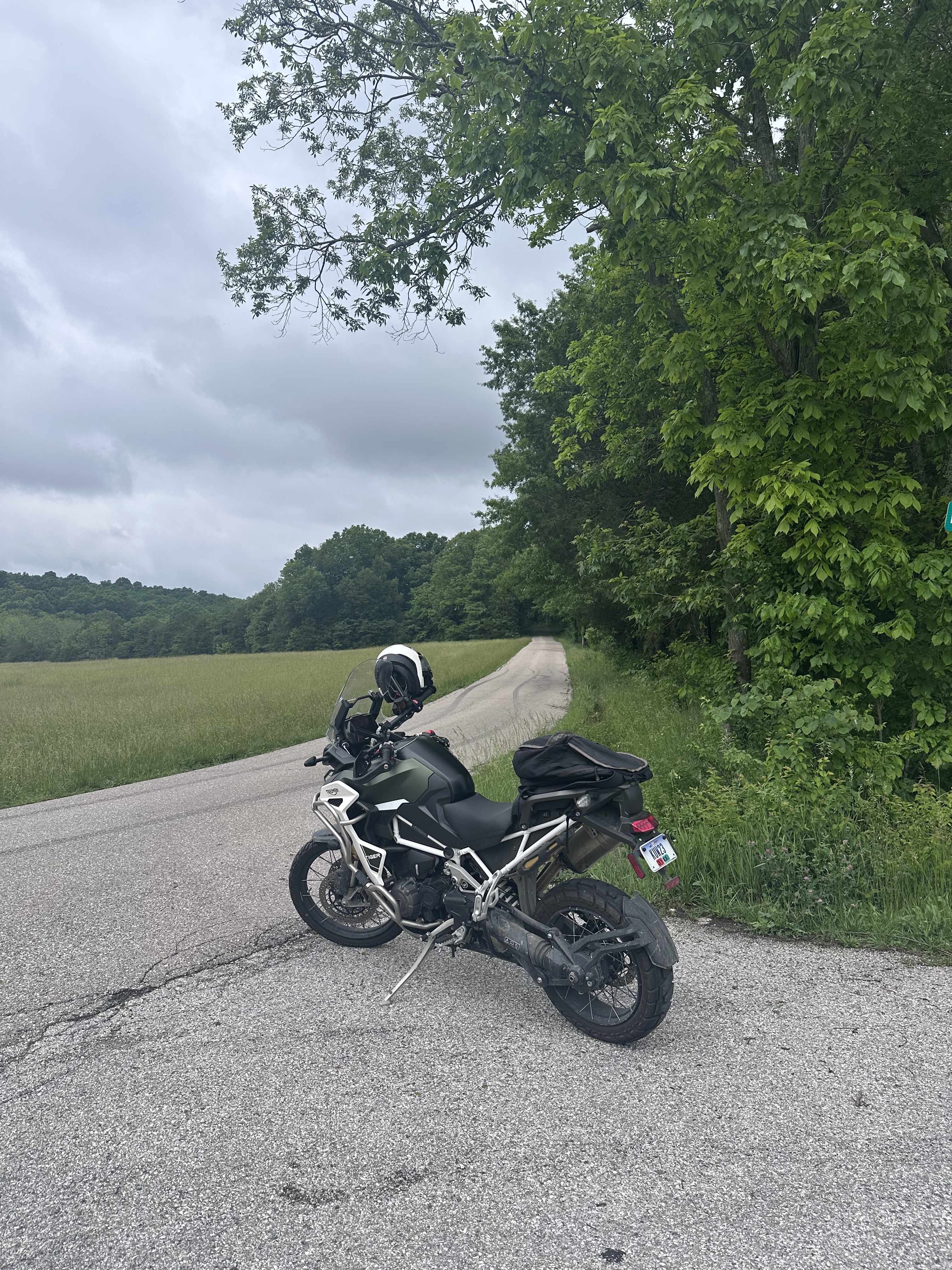 2023 Triumph TIGER 1200 RALLY EXPLORER RALLY EXPLORER in Cincinnati, OH