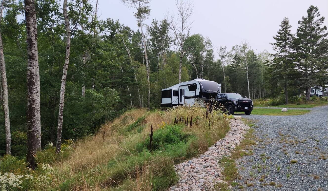 A photo of this 2024 Brinkley MODEL Z 3100