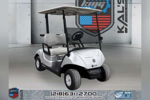 2022 Yamaha Drive 2 Electric PTV ELECTRIC in wadena MN