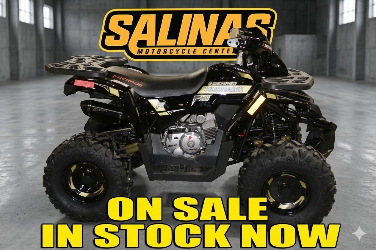 2026 Denago Powersports Mudhawk 10FI in salinas CA