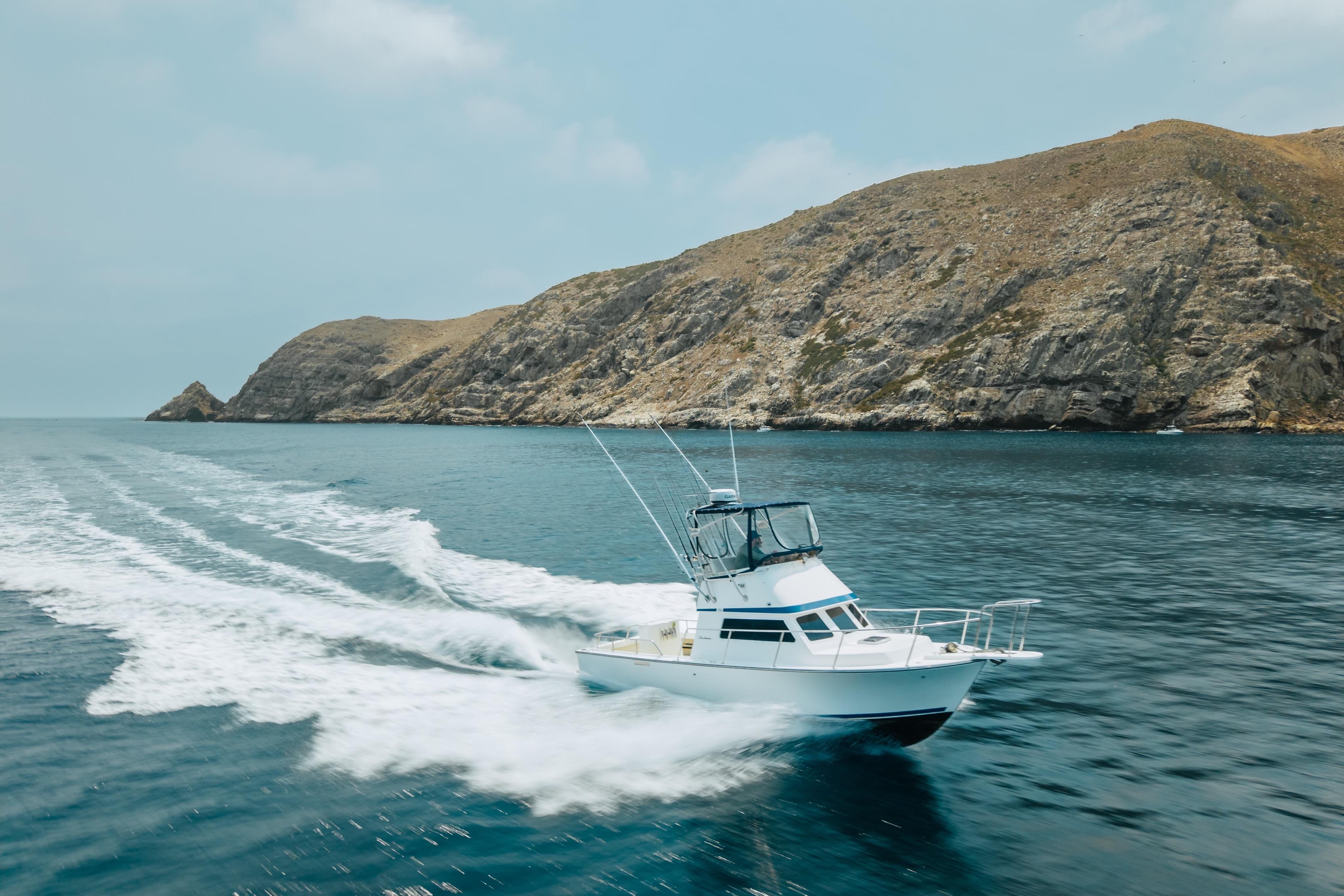 1998 Blackman Billfisher 26 Flybridge Boat boat