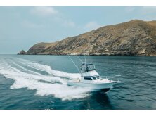 4 Versatile Flybridge Boats Under 40 Feet image