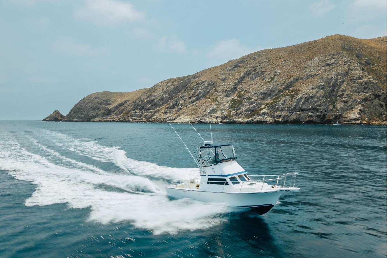 A photo of this 1998 Blackman Billfisher 26