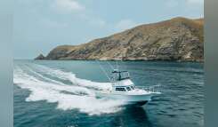 1998 Blackman Billfisher 26 Flybridge Boat boat