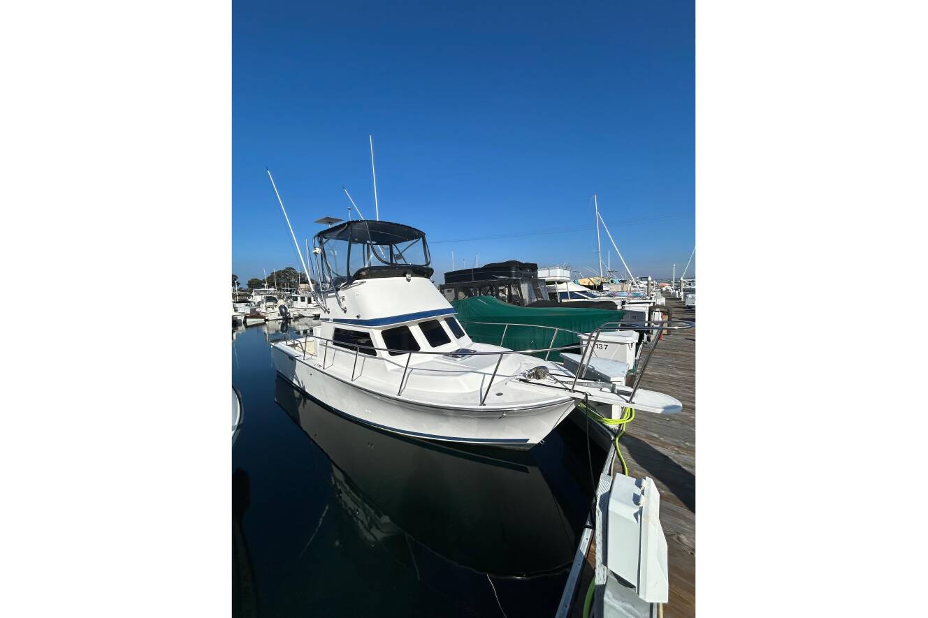 A photo of this 1998 Blackman Billfisher 26