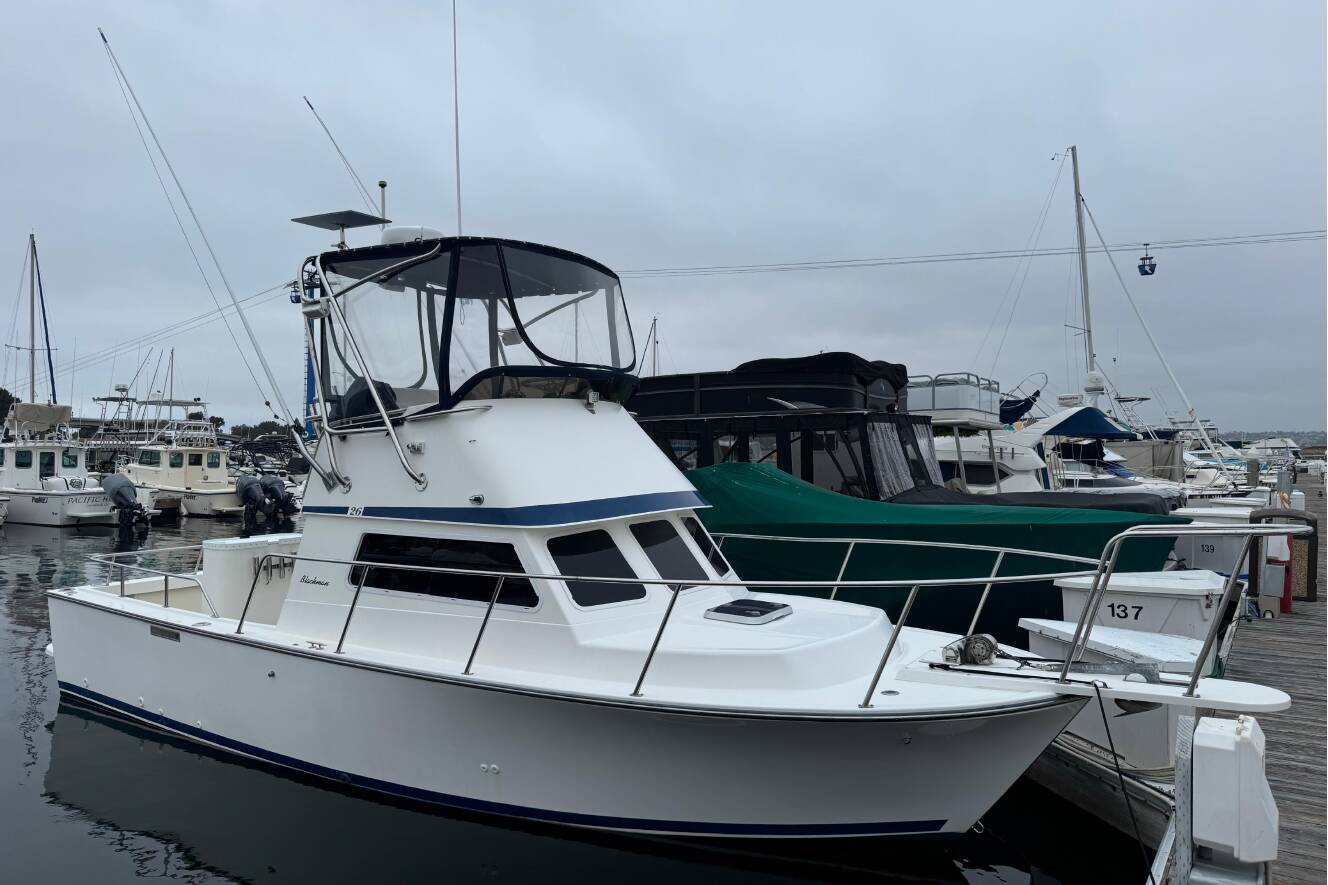 A photo of this 1998 Blackman Billfisher 26
