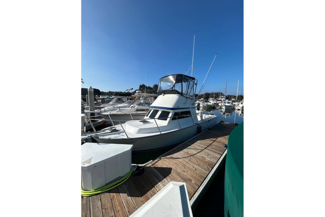 A photo of this 1998 Blackman Billfisher 26