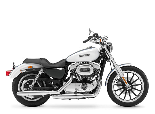 2009 Harley-Davidson Sportster 1200 Low LOW in Winterville, NC