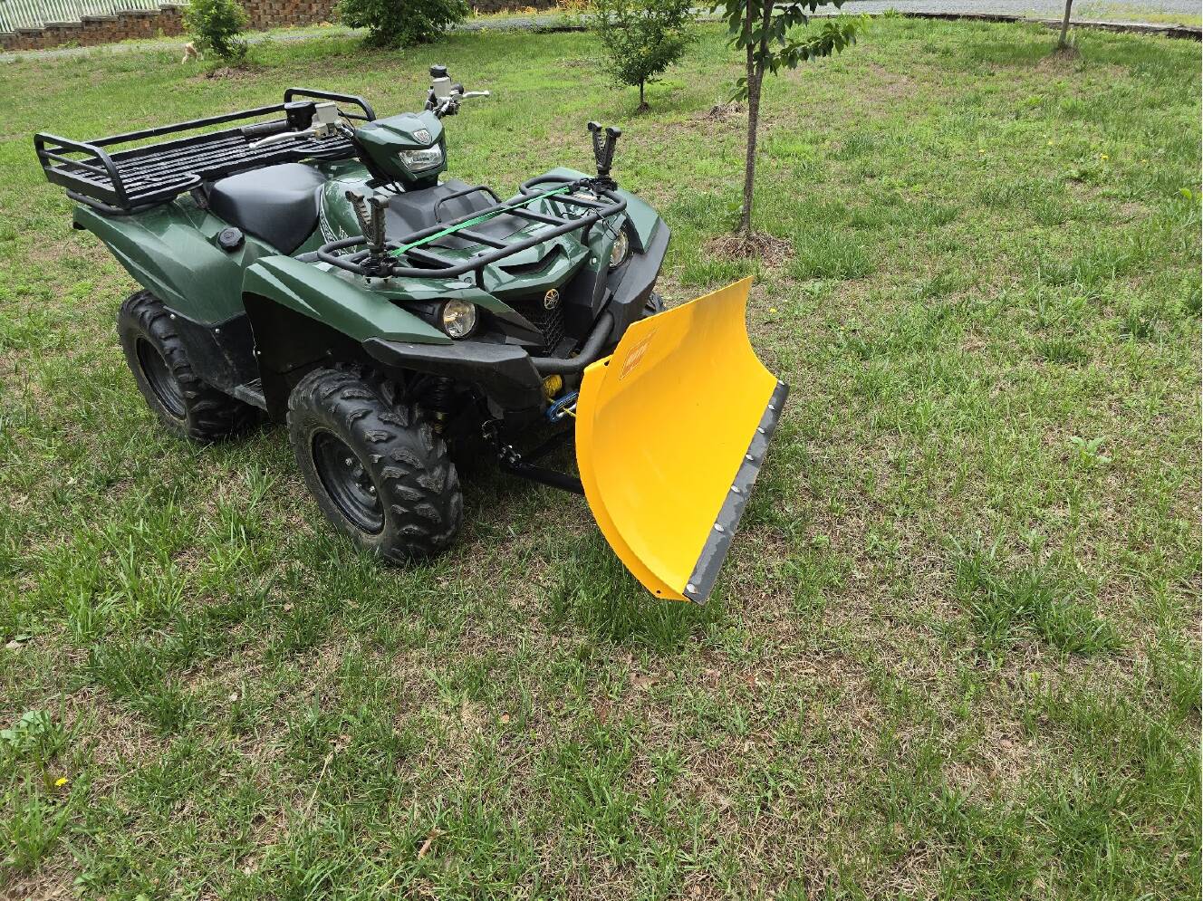 A photo of this 2016 Yamaha GRIZZLY 700 EPS LE