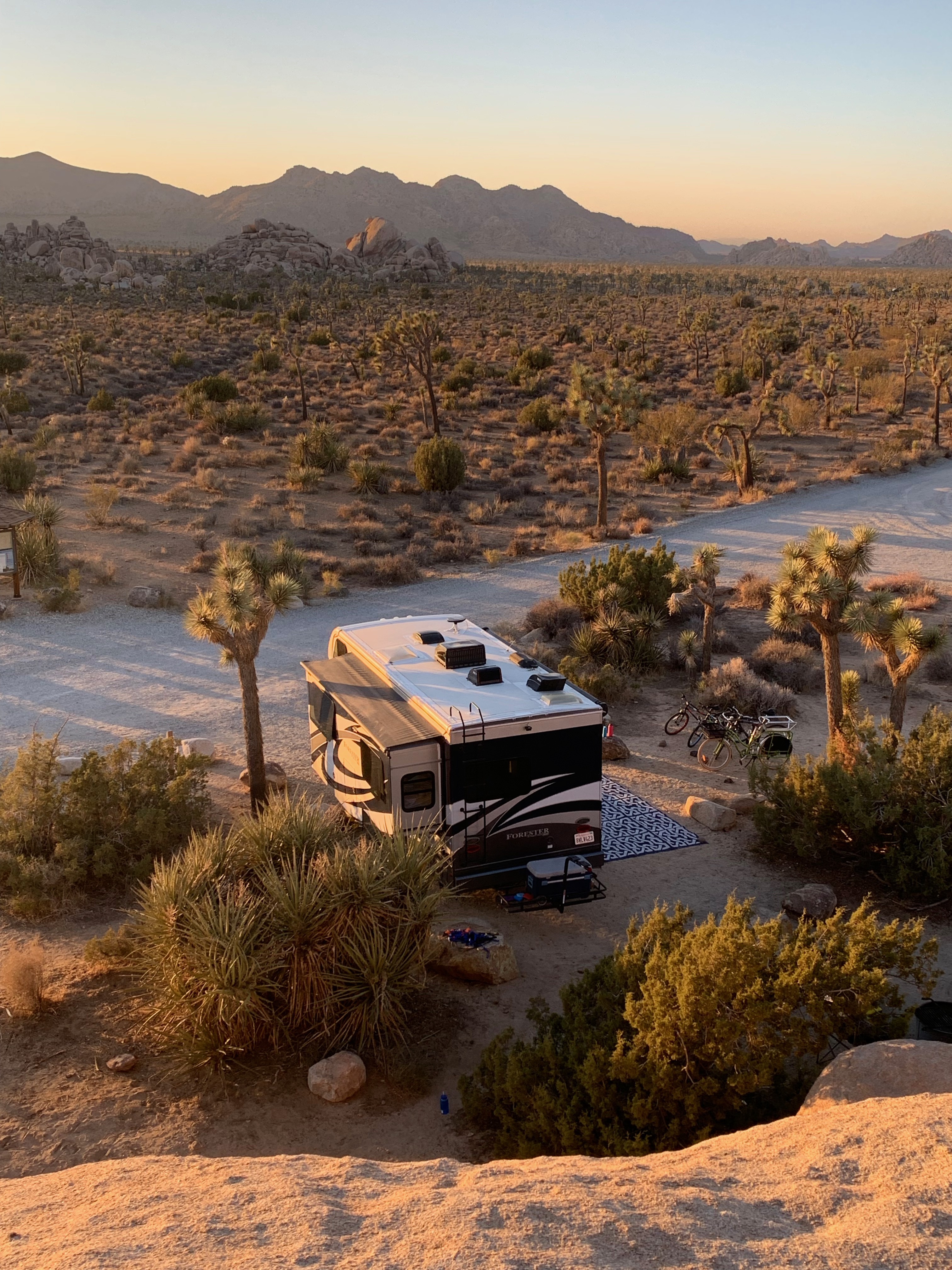 2018 Forest River FORESTER 2401W MBS RV