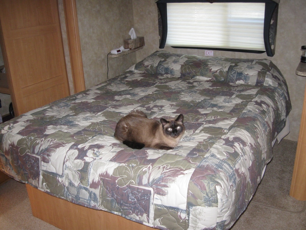 2008 Jayco JAY FLIGHT BUNGALOW 401FLTS DS in sun prairie WI