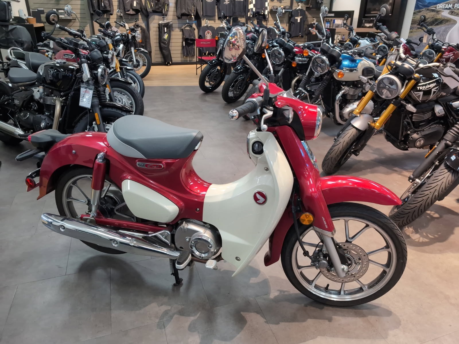 2021 Honda Super Cub C125 ABS C125 ABS in New Haven, CT
