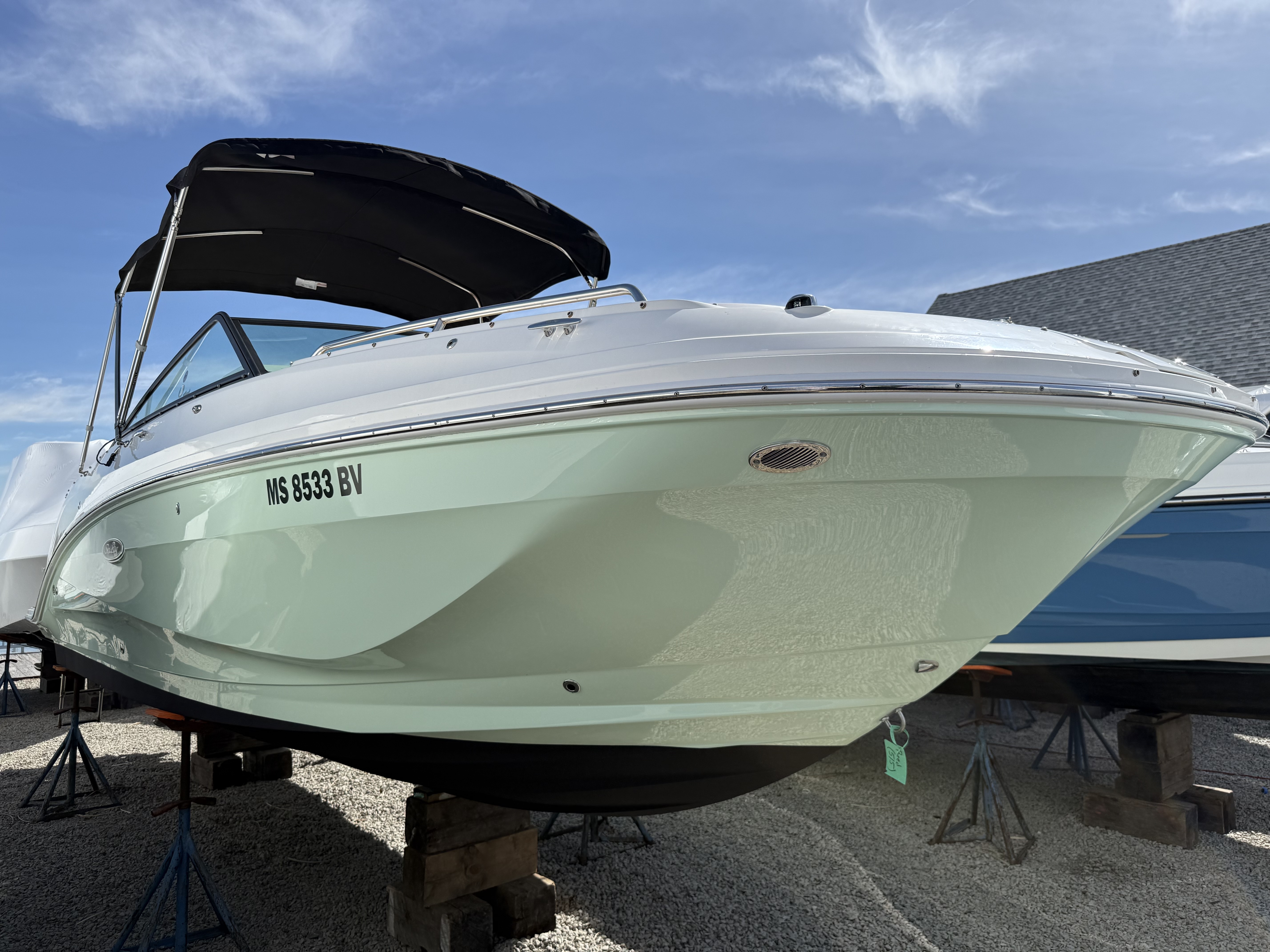 2024 Sea Ray 250 SDX OB 290 OUTBOARD in quincy MA