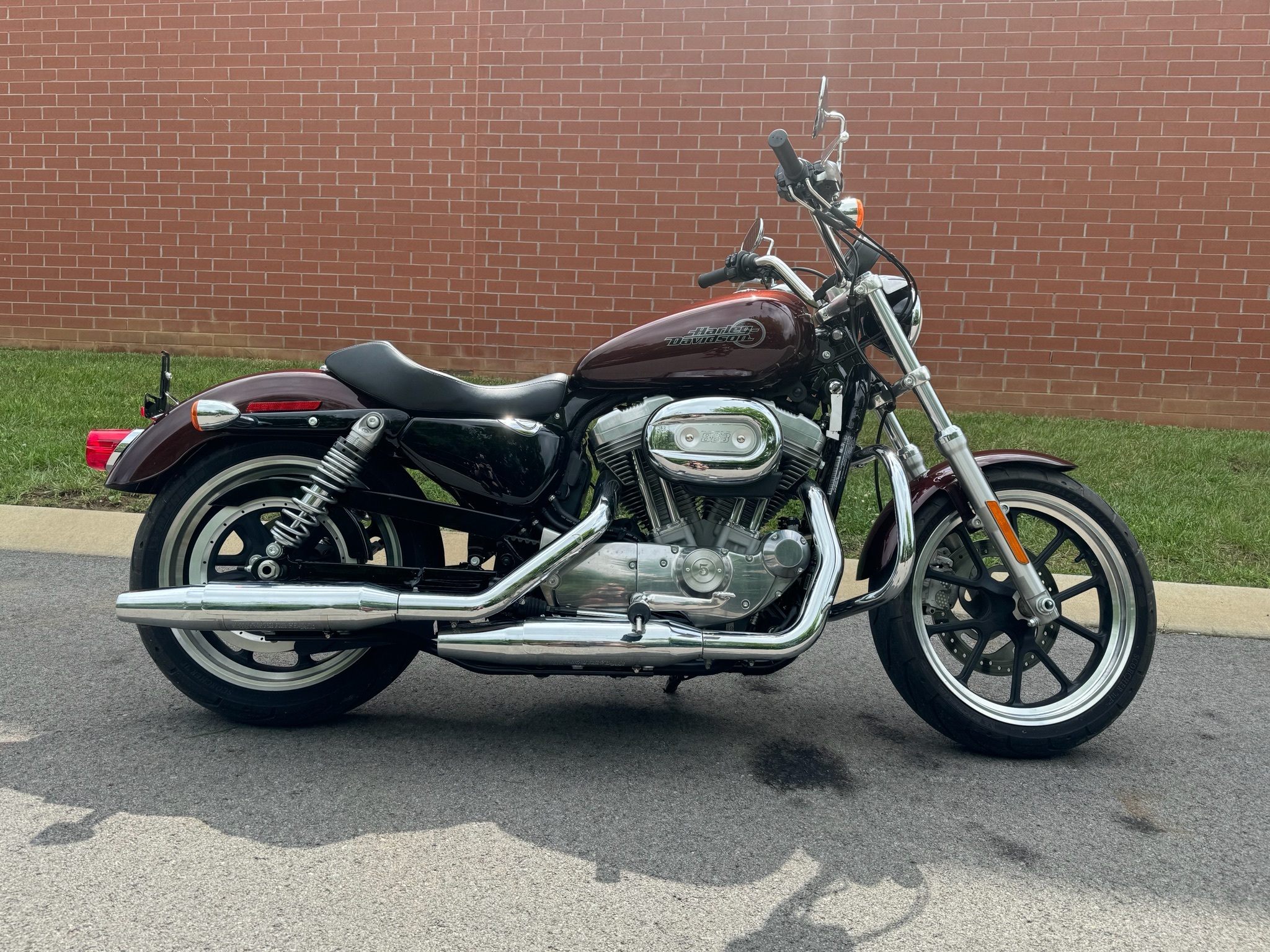 2019 Harley-Davidson Sportster 1200 Motorcycles For Sale - Cycle