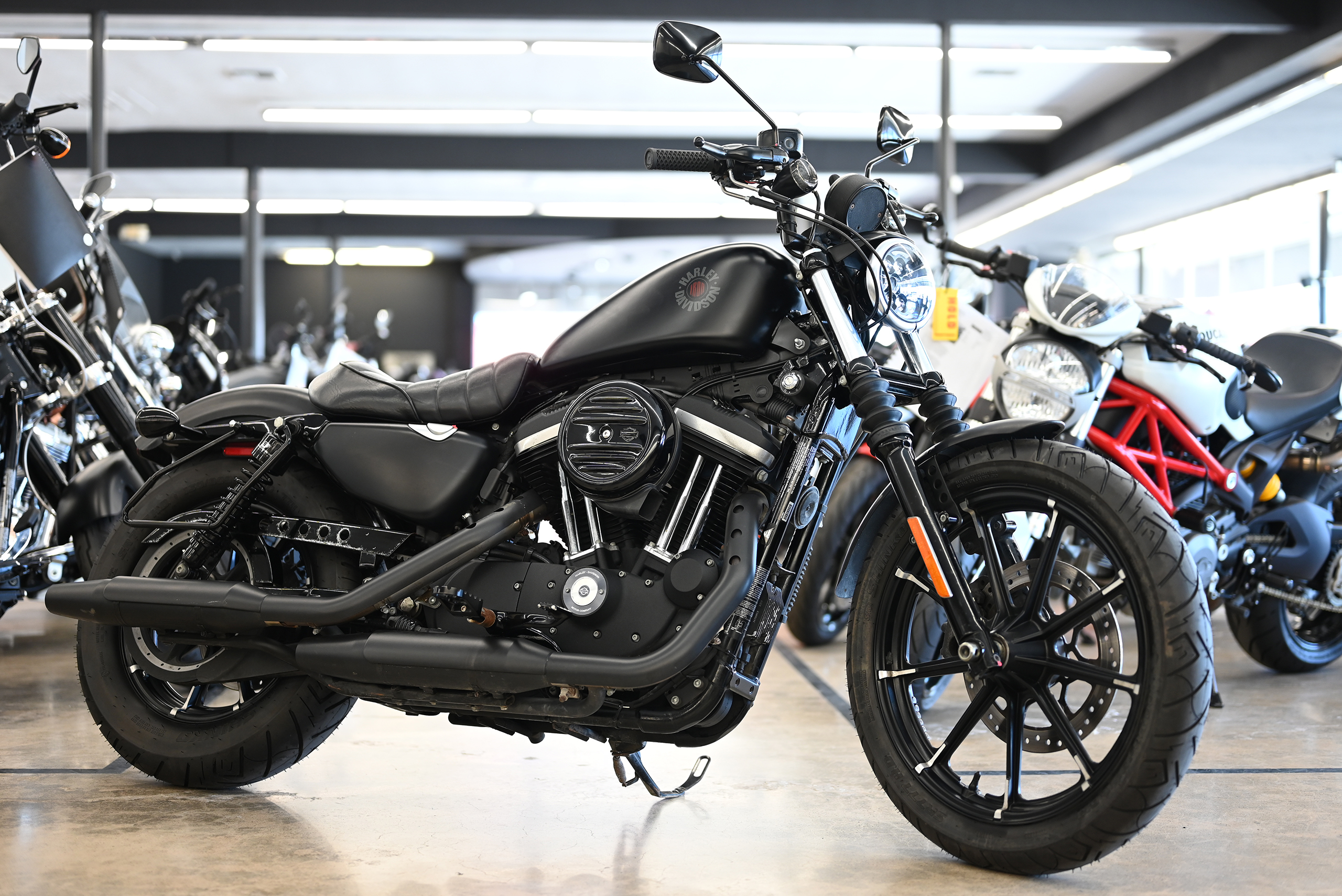 2019 Harley-Davidson IRON 883 IRON in Lemon Grove, CA