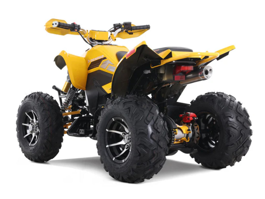 2025 Denago Powersports Daytona 250 FI in columbus OH