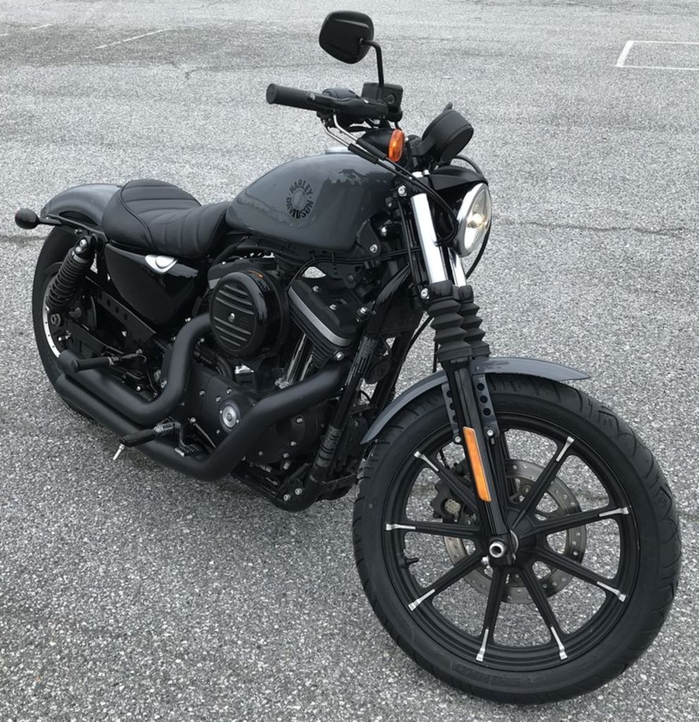 2022 Harley-Davidson® XL883N - Iron 883 IRON in Dover, DE