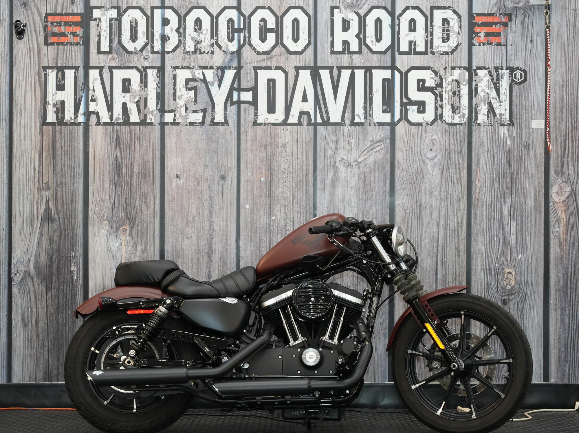 2017 Harley-Davidson Iron 883 IRON in Raleigh, NC