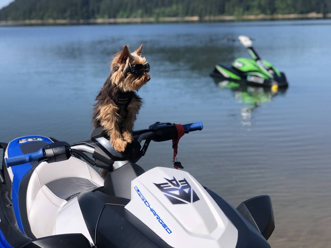 A photo of this 2021 Yamaha WAVERUNNER GP 1800R