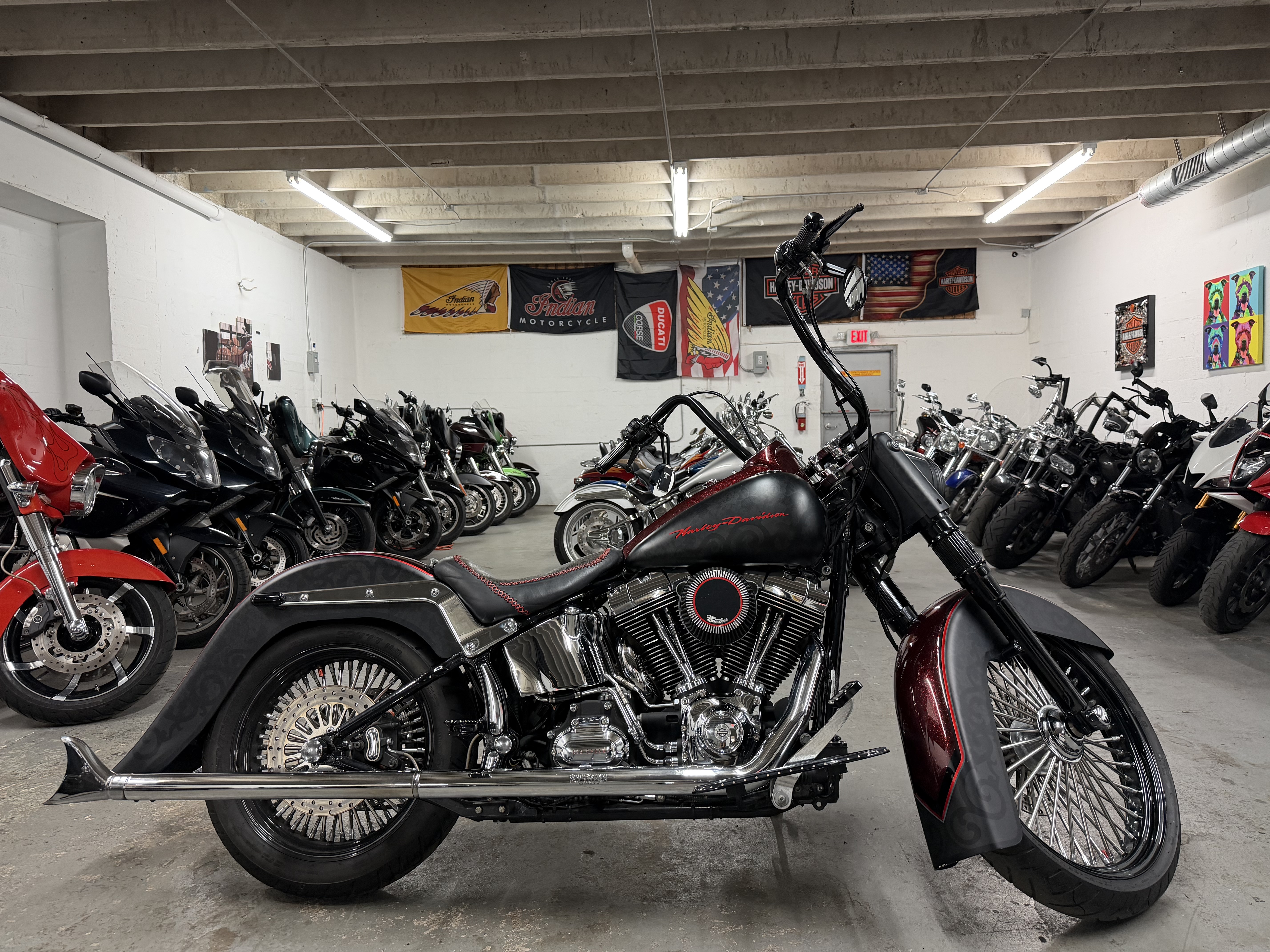 2008 Harley-Davidson SOFTAIL DELUXE in miami FL