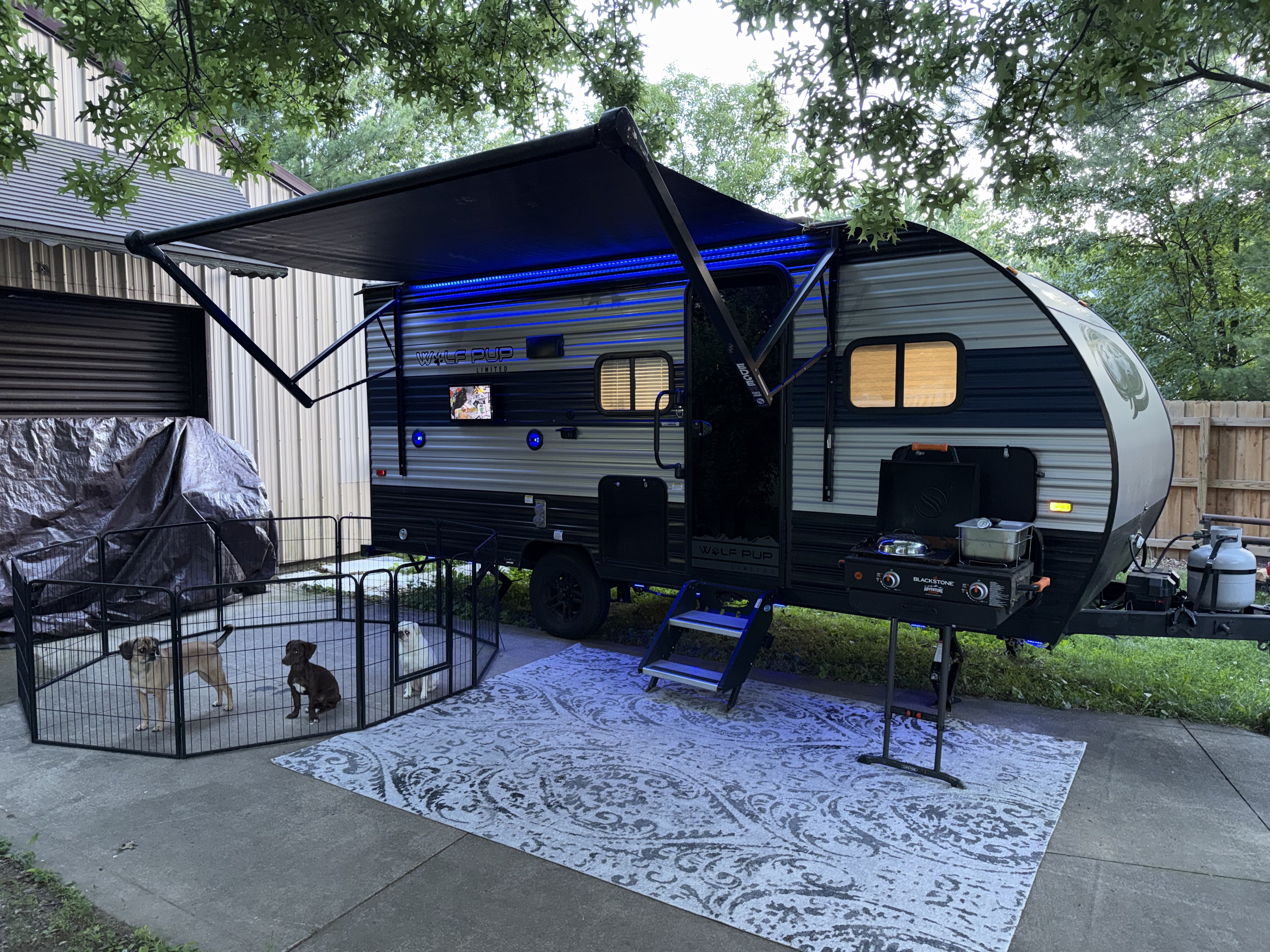 2022 Forest River Wolf Pup Black Label RV