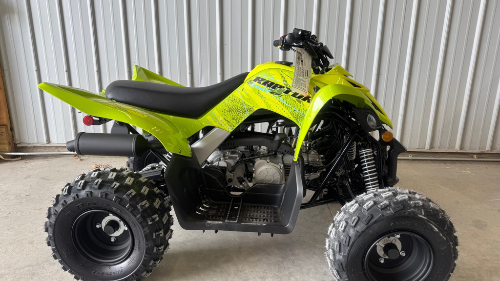 2026 Yamaha Raptor 110 in effingham IL