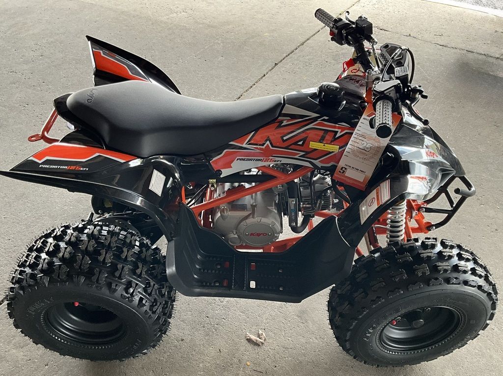 2025 Kayo Predator 125 EFI in duncansville PA