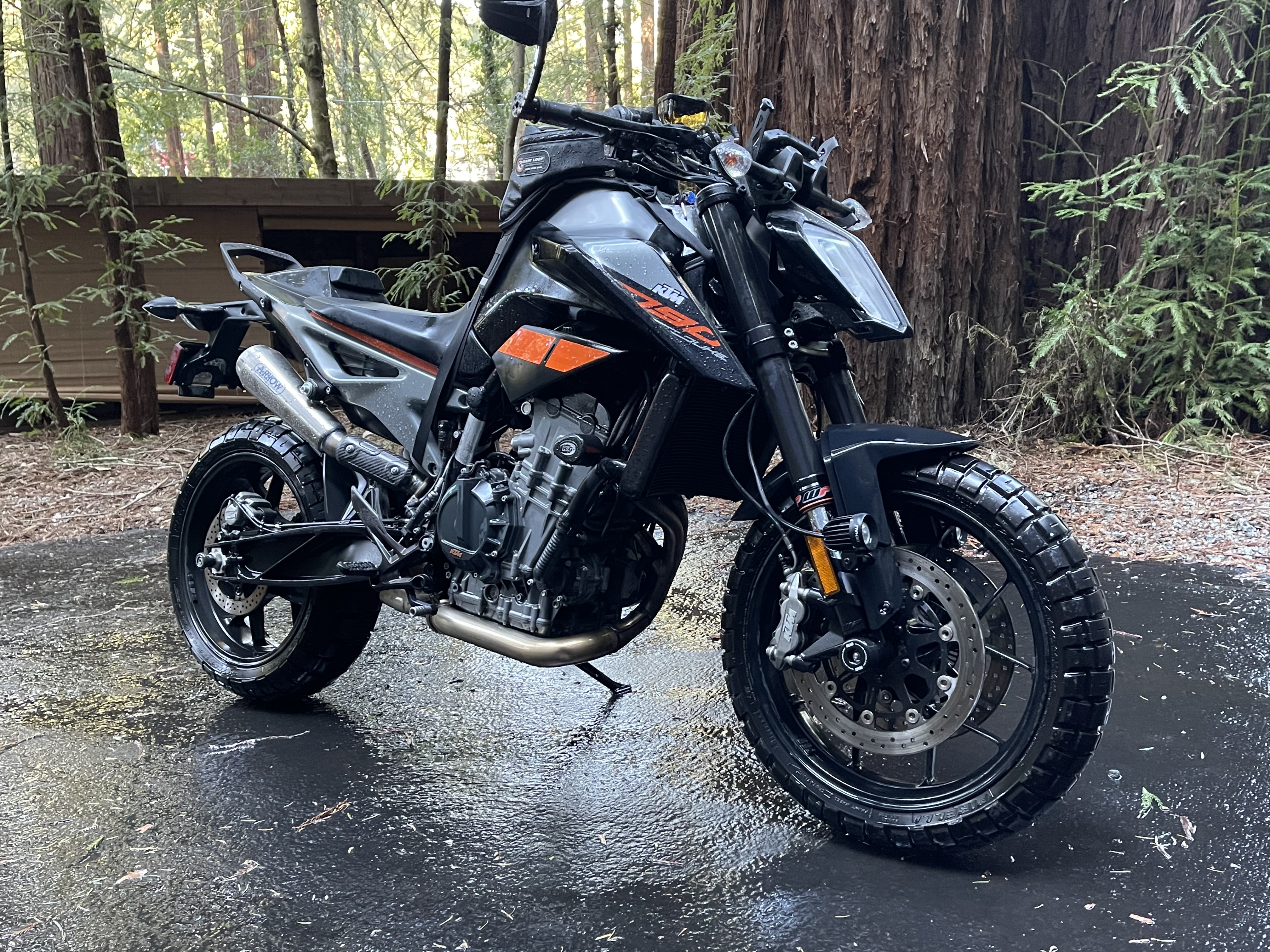 2019 KTM DUKE 790 790 in Boulder, CO