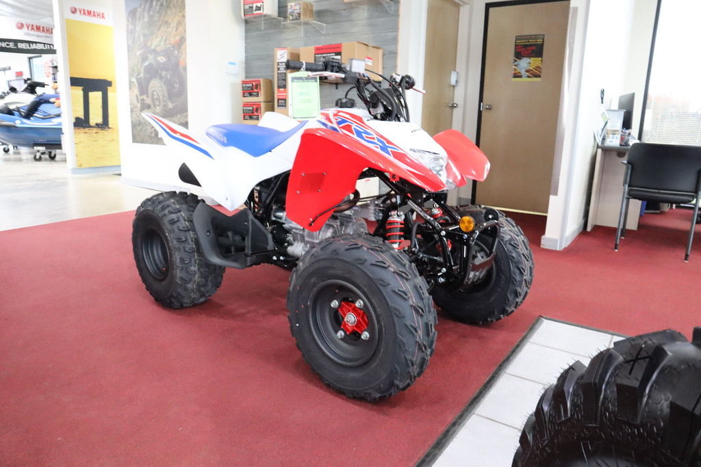 2026 Honda® TRX250X in homosassa FL