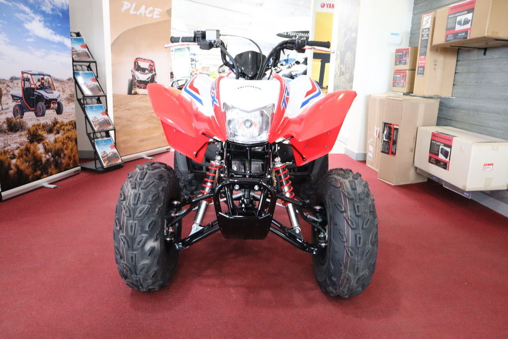 2026 Honda® TRX250X in homosassa FL