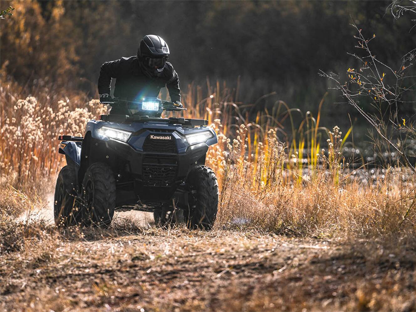 A photo of this 2026 Kawasaki Brute Force® 750 EPS