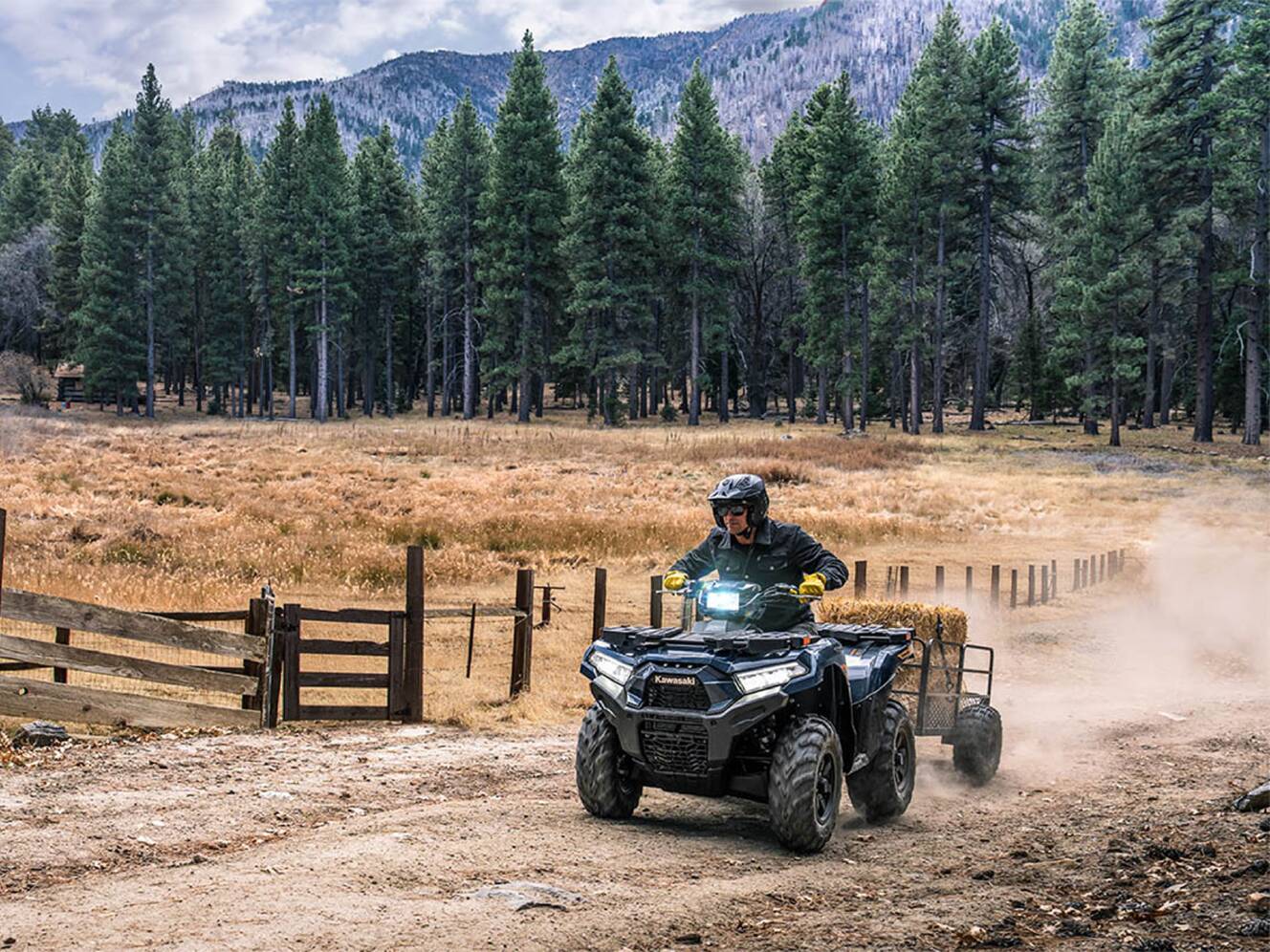 A photo of this 2026 Kawasaki Brute Force® 750 EPS