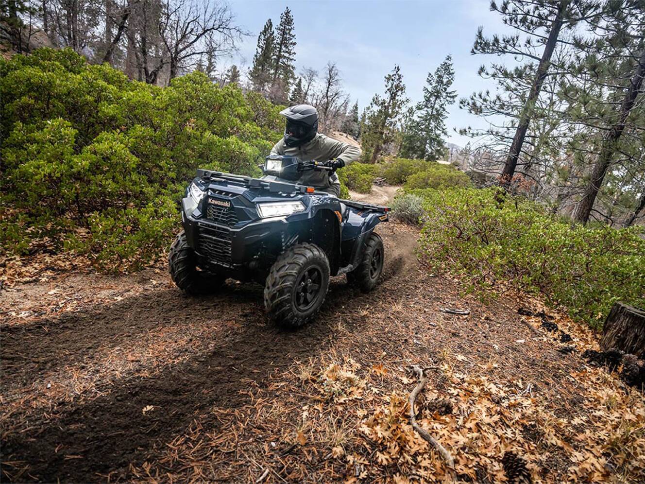 A photo of this 2026 Kawasaki Brute Force® 750 EPS