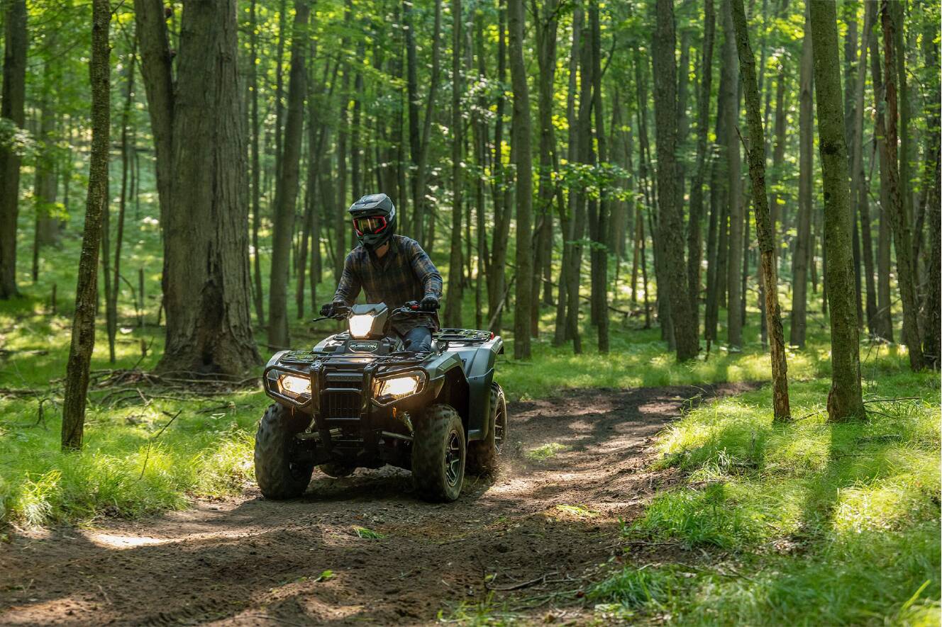 A photo of this 2027 Honda FourTrax Foreman Rubicon 4x4 Automatic DCT EPS Deluxe