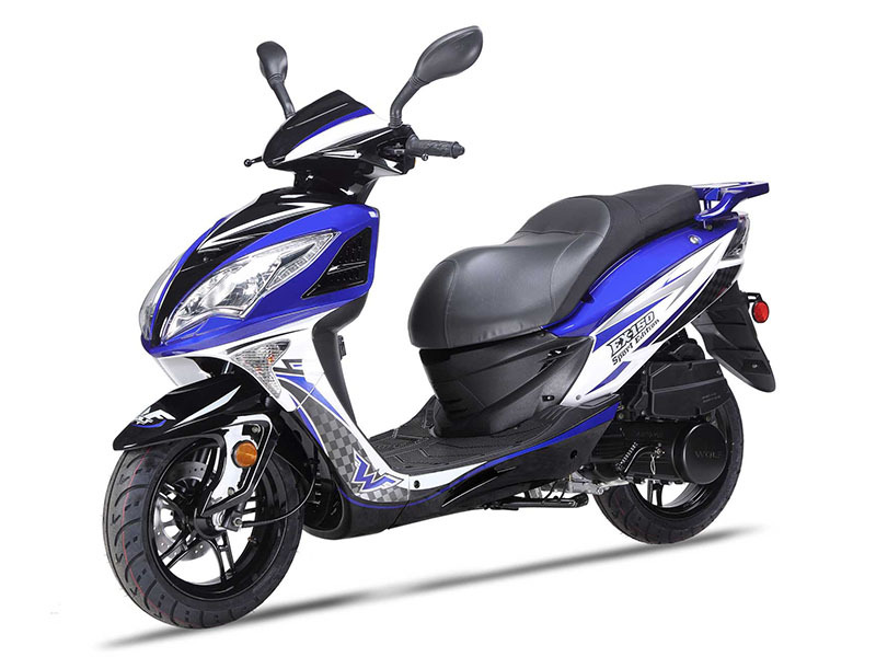 2025 Wolf Brand Scooters Wolf EX-150 150 in New Haven, CT