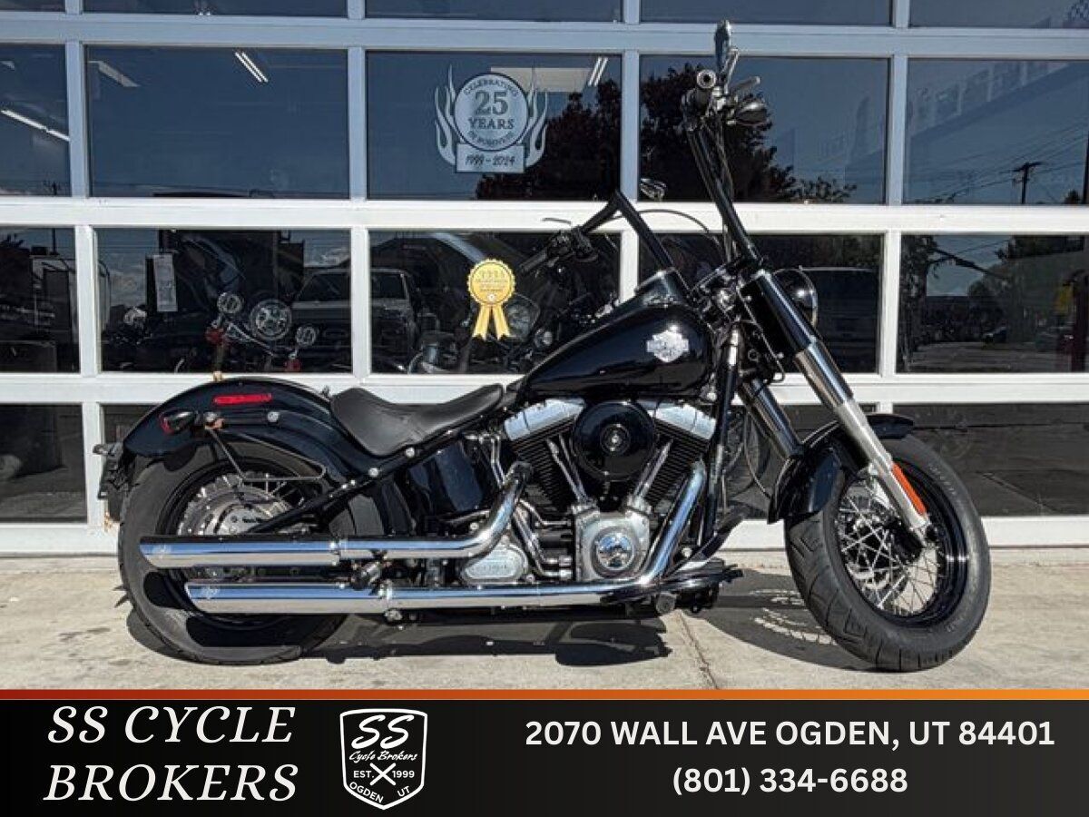 2014 Harley-Davidson FLS Softail Slim SLIM in Ogden, UT