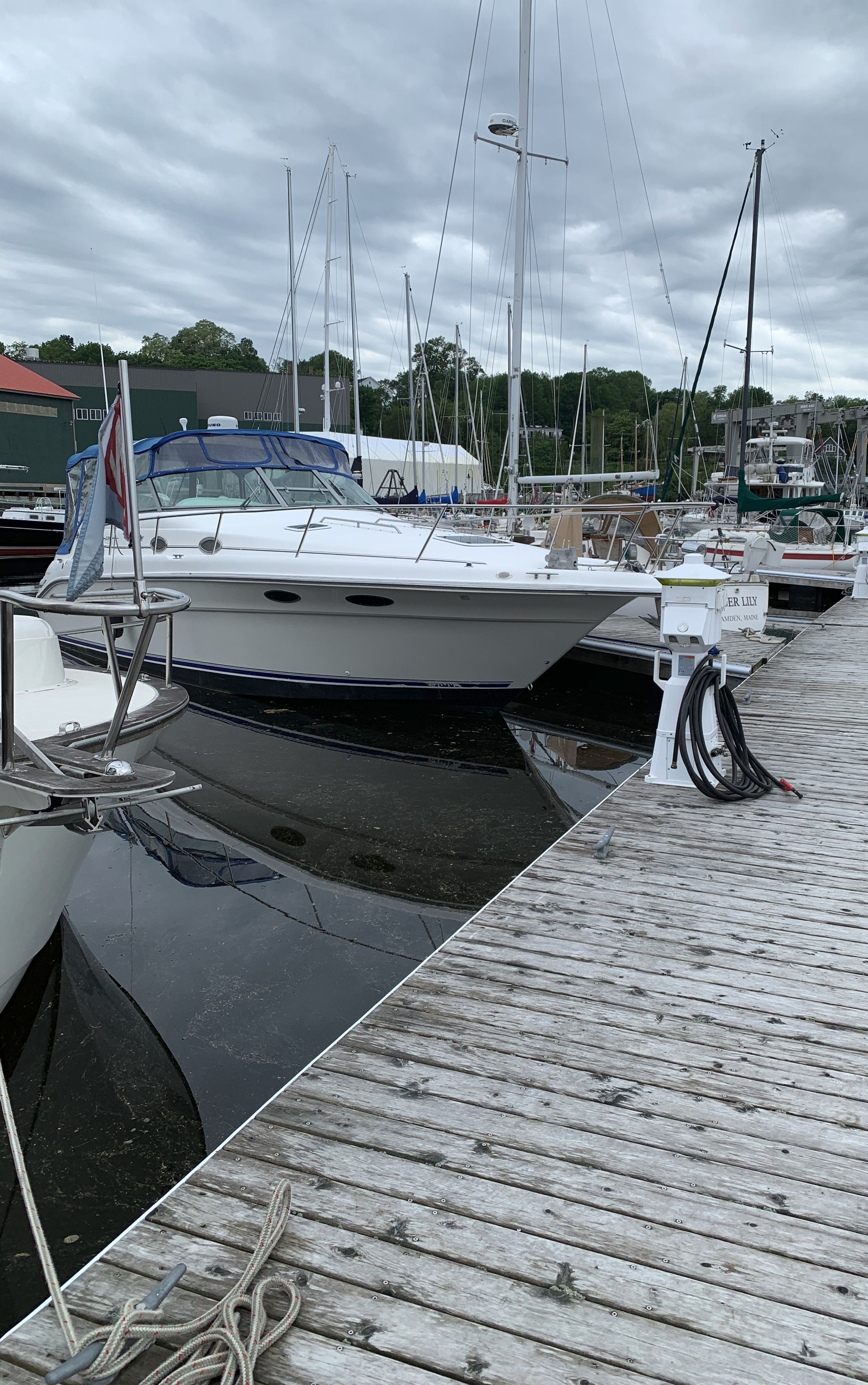 1996 Sea Ray 330 SUNDANCER in belfast ME