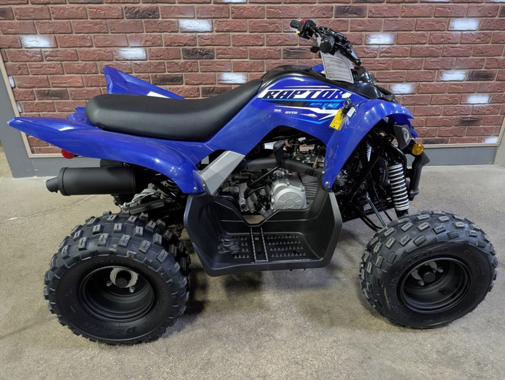 2026 Yamaha Raptor 110 in dimondale MI