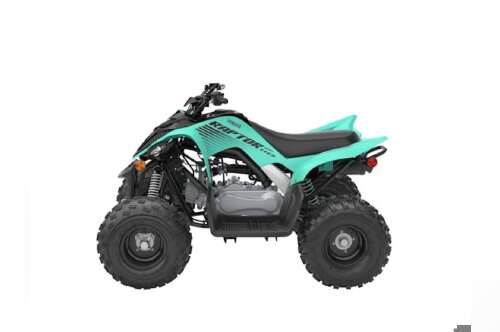 2025 Yamaha Raptor 110 in key largo FL