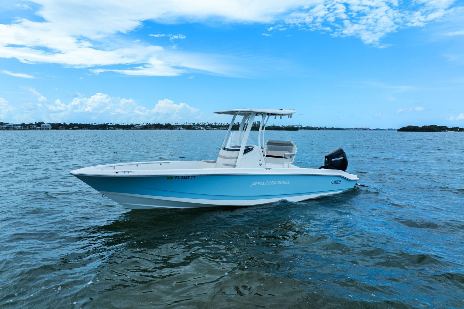 2024 Boston Whaler 250 DAUNTLESS in st. petersburg FL