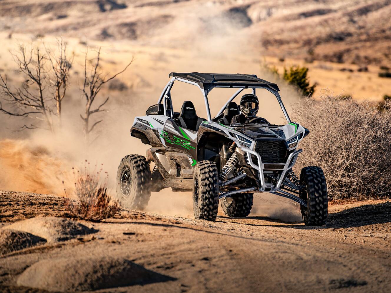 A photo of this 2024 Kawasaki Teryx KRX 1000 eS