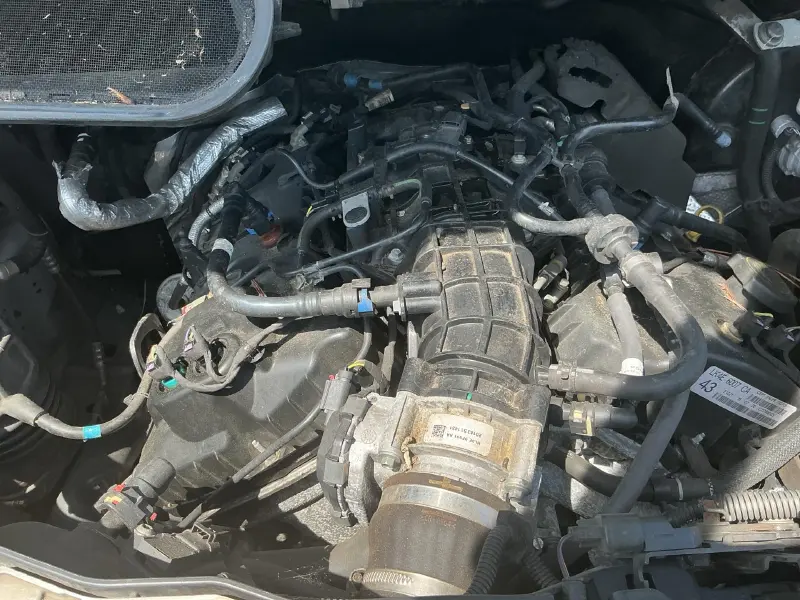 2020 FORD TRANSIT