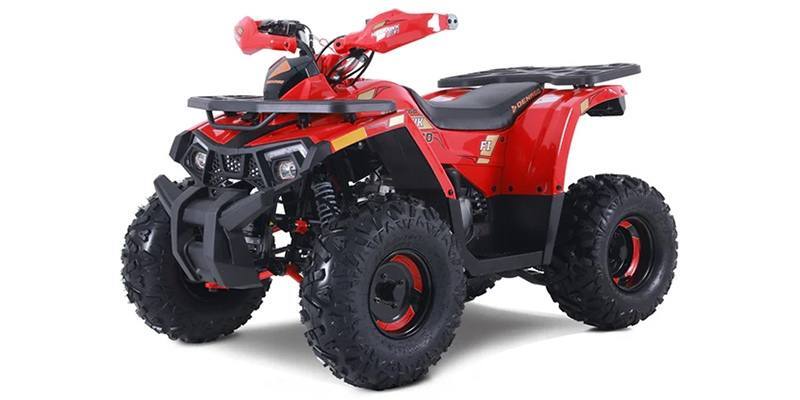 2026 Denago Powersports MUDHAWK 10FI in rocky mount NC